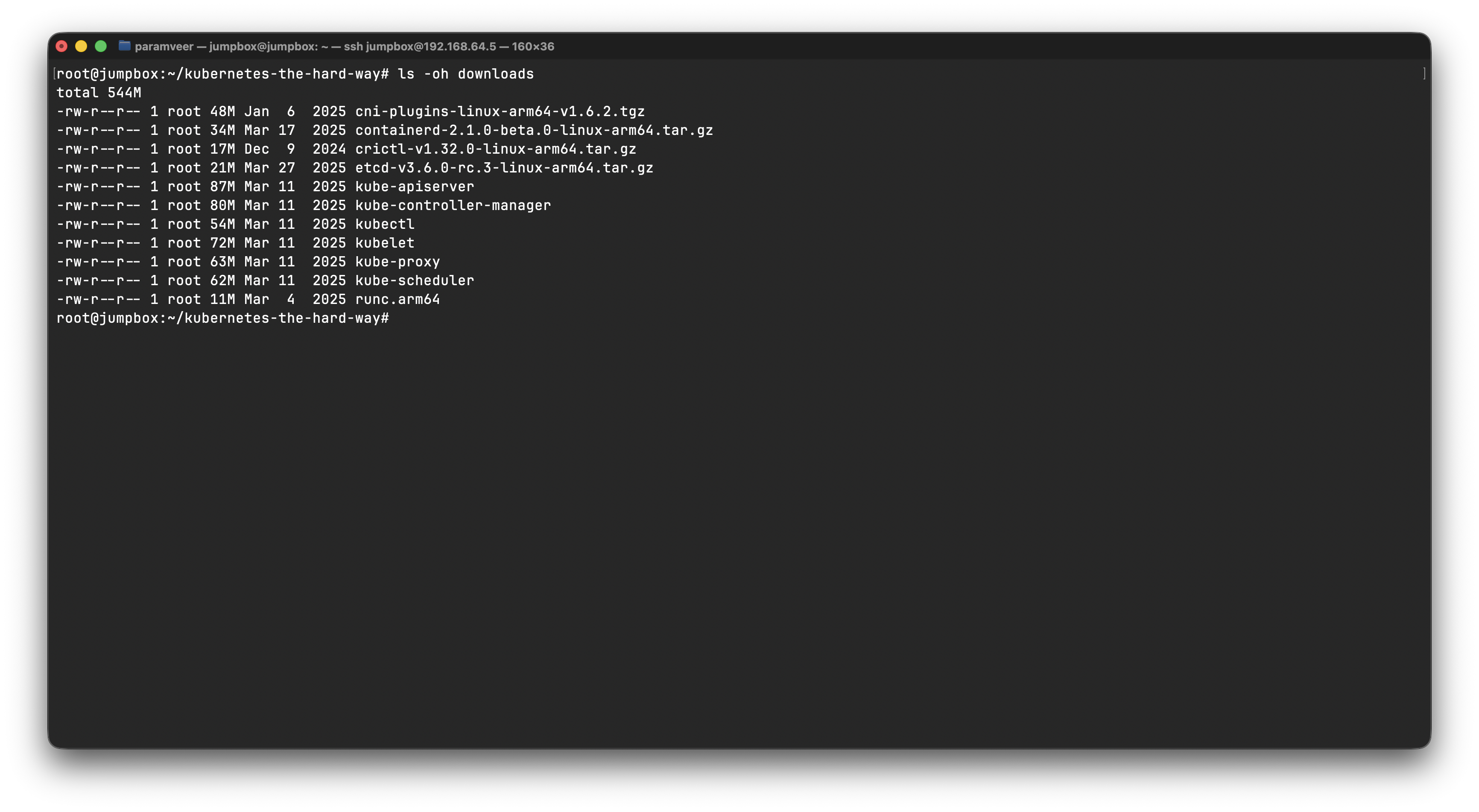 Kubernetes/Images/_jumpbox/jumpbox-binary-download.png